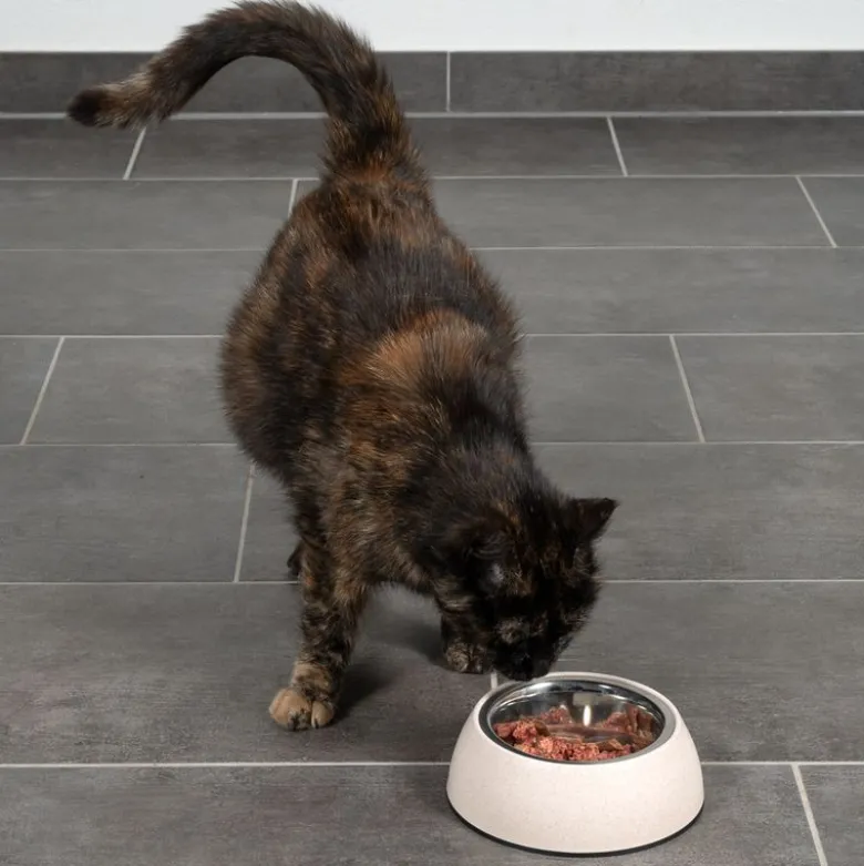 Modern Living bæredygtig skål Sichuan til katte