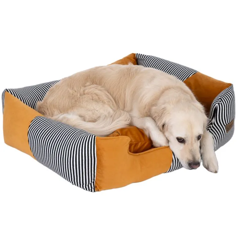 Modern Living Casablanca moderne hundeseng