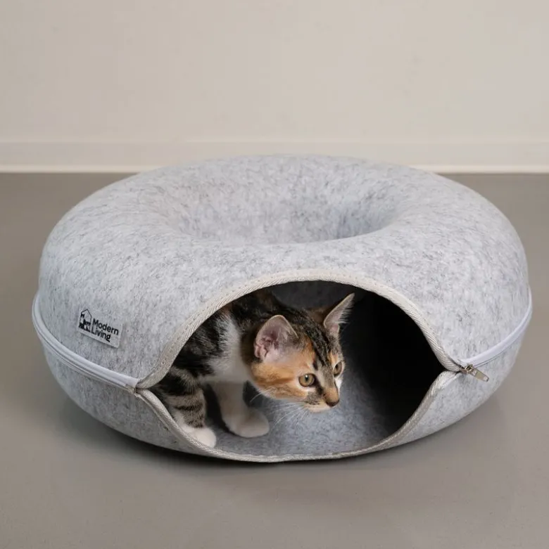 Modern Living Chicago donut tunnel