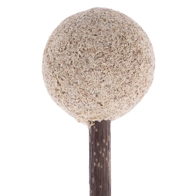 Modern Living Fukuoka Silvervine-Lollipop