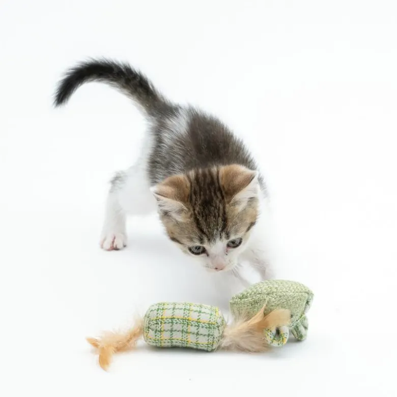 Modern Living Glasgow kattelegetøjssæt mus med katteurt