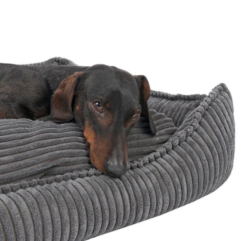 Modern Living Helena Hundeseng