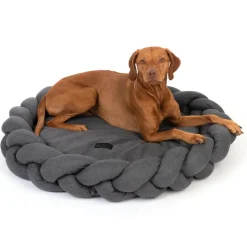 Modern Living hundeseng Durban