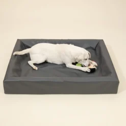Modern Living Hundeseng Granit