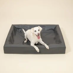 Modern Living Hundeseng Granit