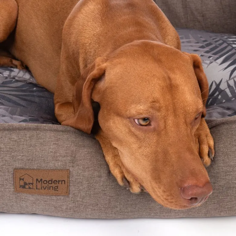 Modern Living hundeseng Ibiza