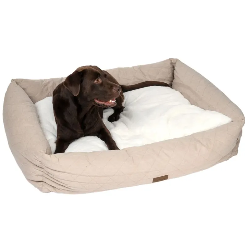 Modern Living hundeseng Muscat
