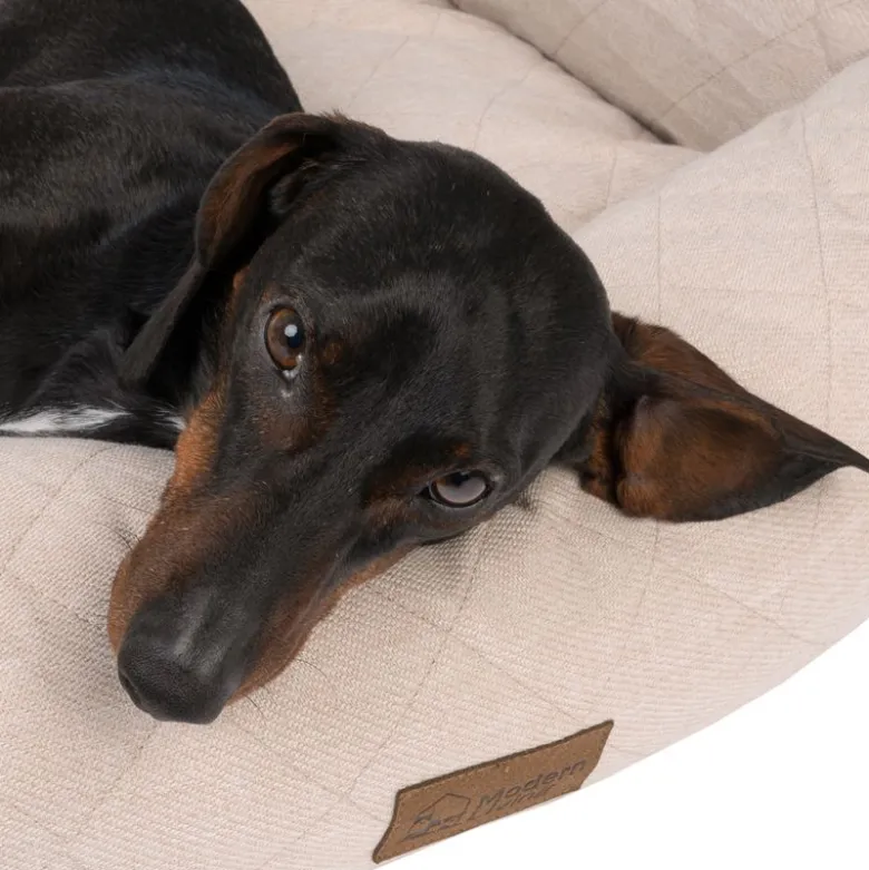 Modern Living hundeseng Muscat