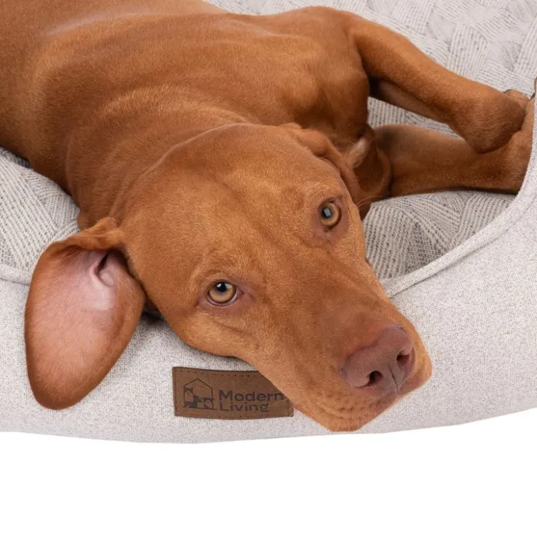 Modern Living hundeseng Phoenix