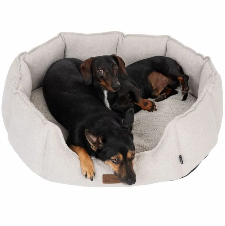 Modern Living hundeseng Phoenix