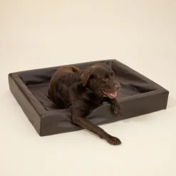 Modern Living Hundeseng Tabac