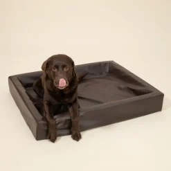 Modern Living Hundeseng Tabac