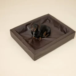 Modern Living Hundeseng Tabac