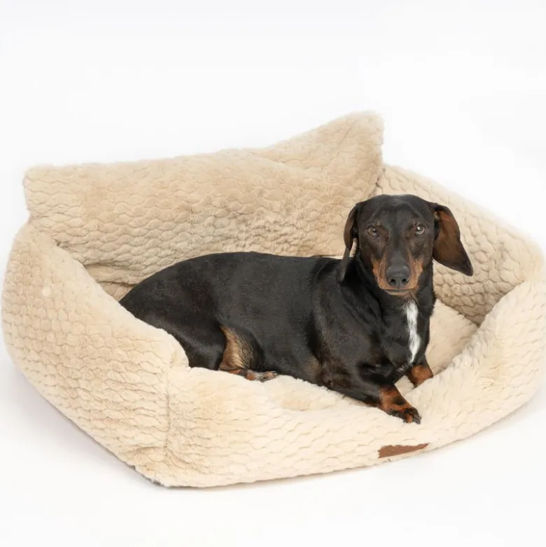 Modern Living hundesofa Aarhus