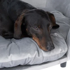 Modern Living hundesofa Nashville