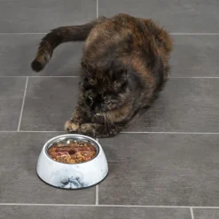 Modern Living madskål Athen til katte