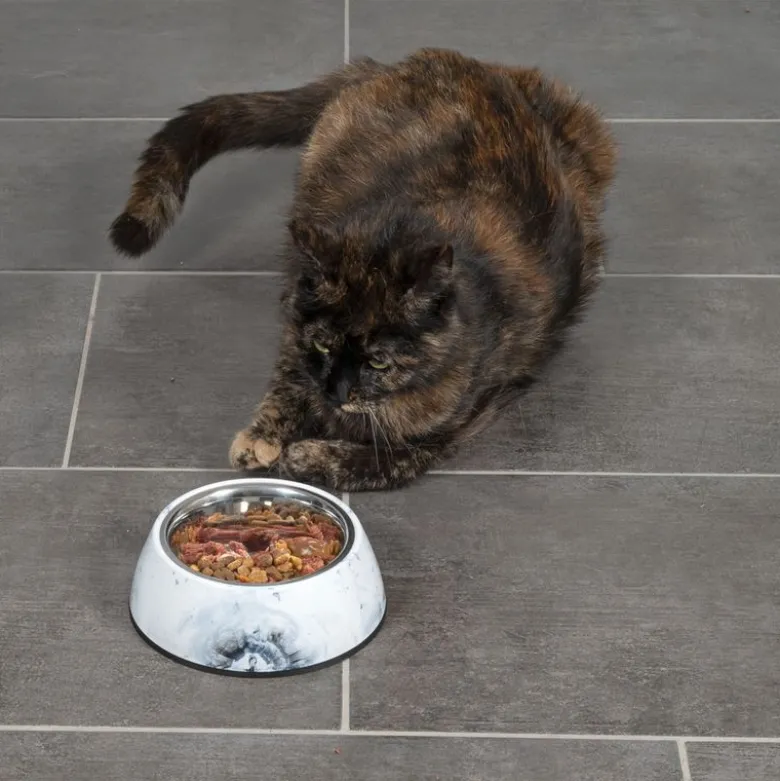 Modern Living madskål Athen til katte
