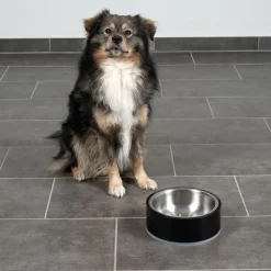 Modern Living madskål Bilbao til hunde