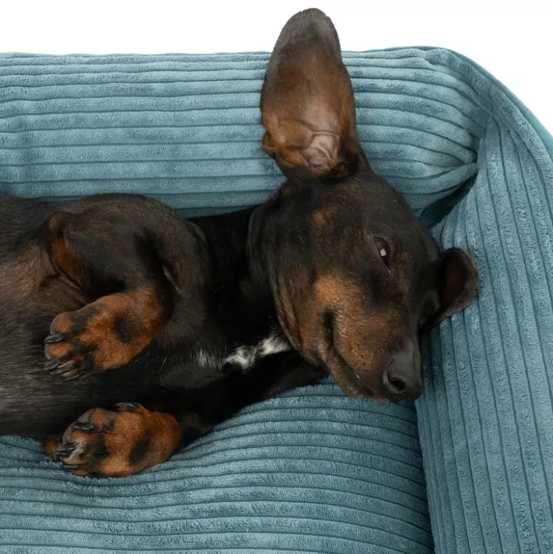 Modern Living Portland hundeseng