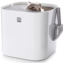Modkat kattetoilet