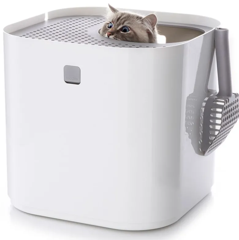 Modkat kattetoilet