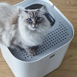 Modkat kattetoilet