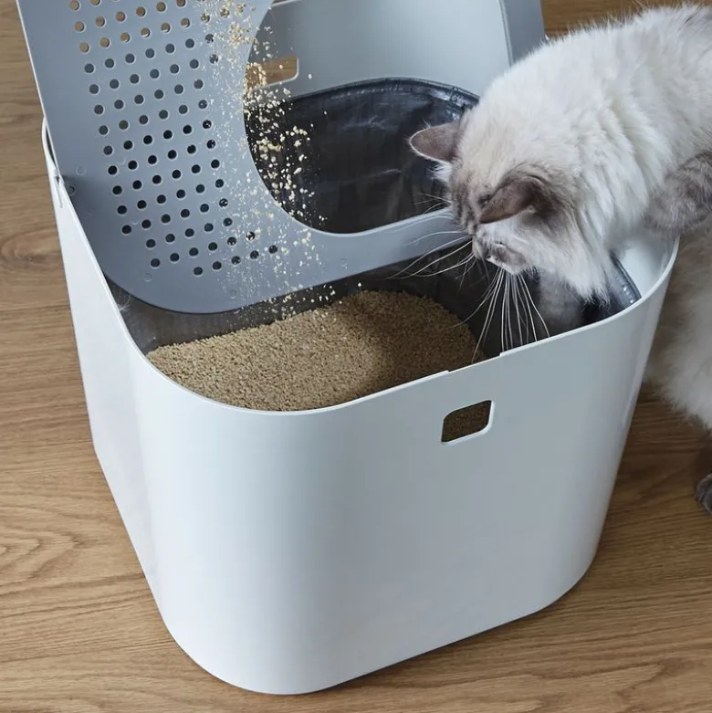 Modkat kattetoilet