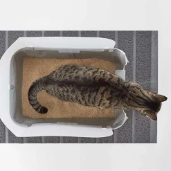 Modkat Tray kattetoilet