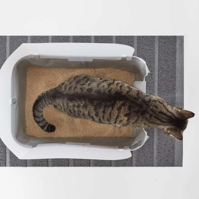 Modkat Tray kattetoilet