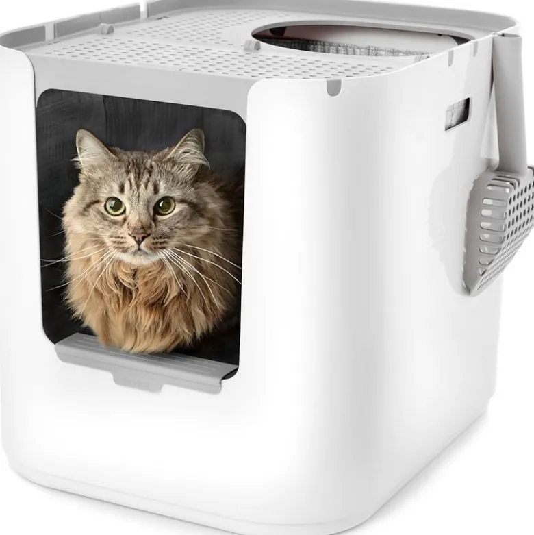 Modkat XL kattetoilet