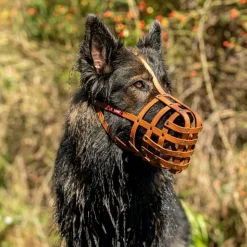 Mundkurv, COLORI® 2.0 Muzzle Schæferhund, M, lysebrun
