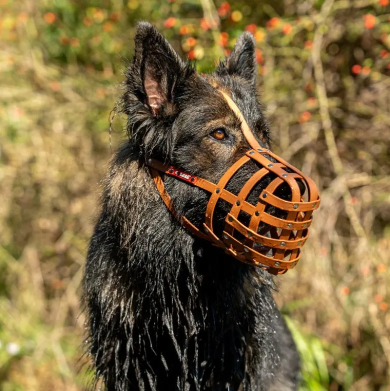 Mundkurv, COLORI® 2.0 Muzzle Schæferhund, M, lysebrun
