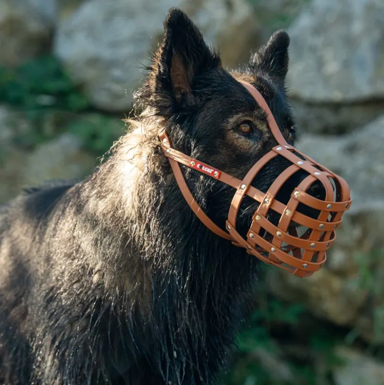 Mundkurv, COLORI® 2.0 Muzzle Schæferhund, M, lysebrun