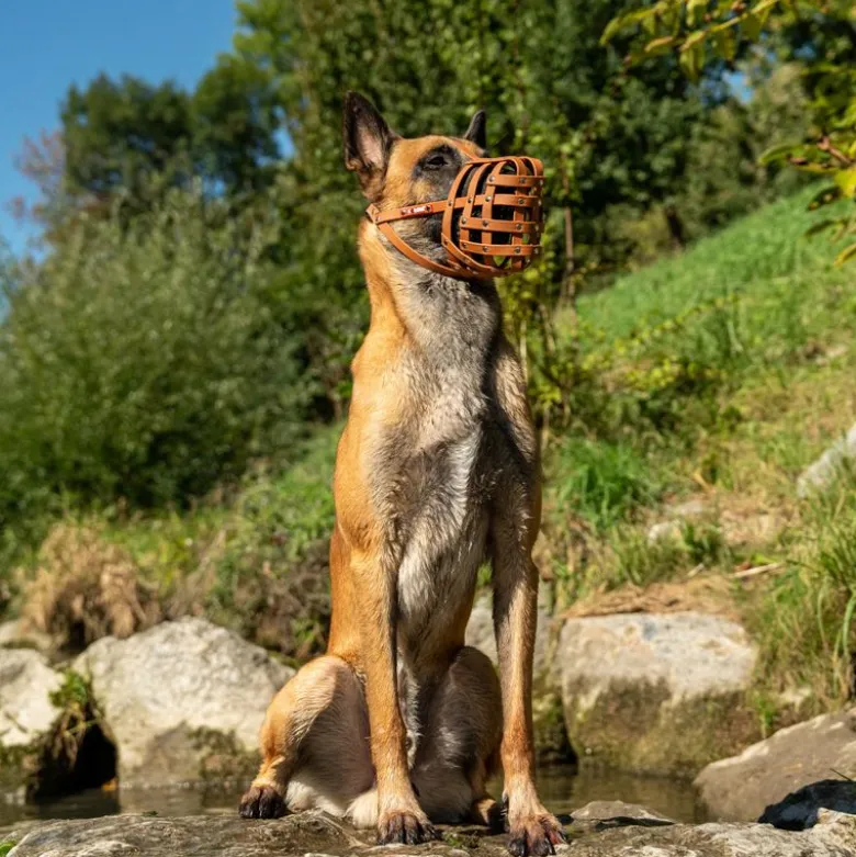 Mundkurv, COLORI® 2.0 Muzzle Schæferhund, M, lysebrun