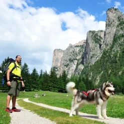 NEEWA Bungee hundesnor - sort