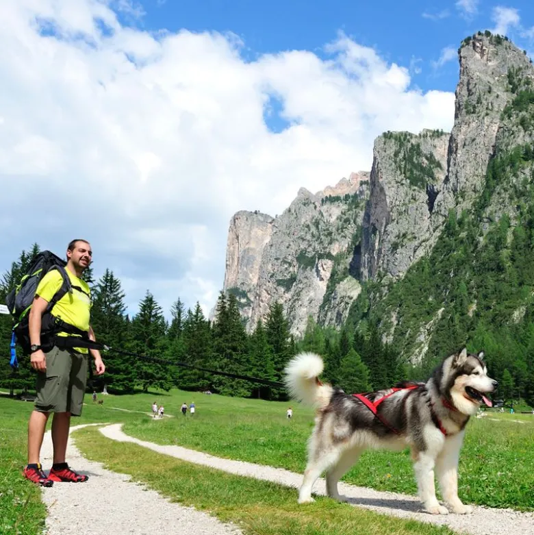 NEEWA Bungee hundesnor - sort