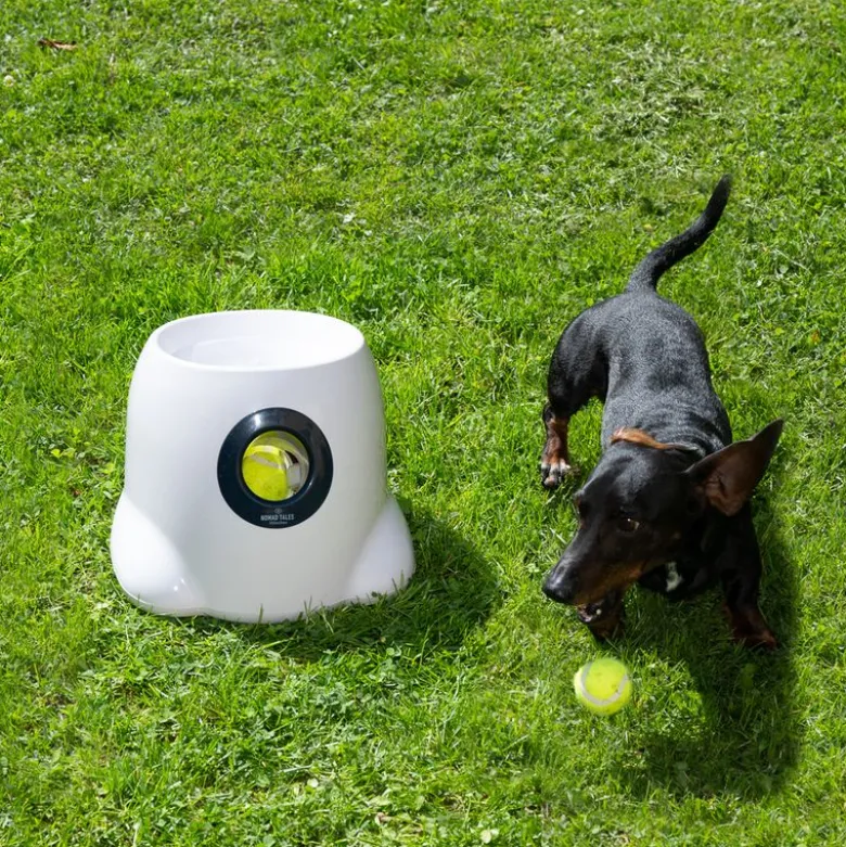 Nomad Tales Bloom Automatisk tennisboldkaster