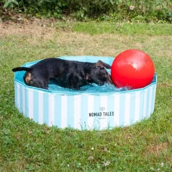 Nomad Tales Bloom Boomer Ball