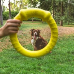 Nomad Tales Bloom Fitness Ring