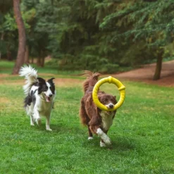 Nomad Tales Bloom Fitness Ring
