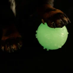 Nomad Tales Bloom Glow-in-the-Dark Ball