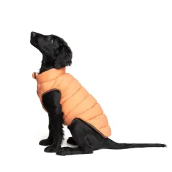 Nomad Tales Bloom hundefrakke puffer, orange/beige
