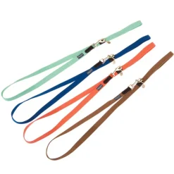 Nomad Tales Bloom Line, mint