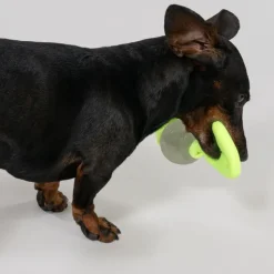 Nomad Tales Bloom Lysende Floppy Ball
