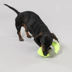 Nomad Tales Bloom Lysende Floppy Ball