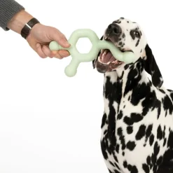 Nomad Tales Bloom Molekyle Hundelegetøj