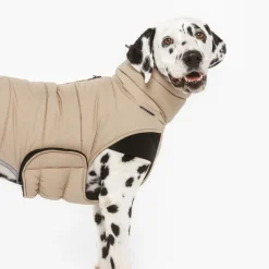 Nomad Tales Bloom Quilted Comfort hundefrakke