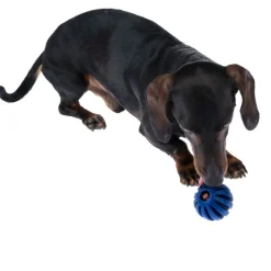 Nomad Tales Bloom Snack-Ball