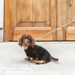 Nomad Tales Blush Hundetrøje Ebony
