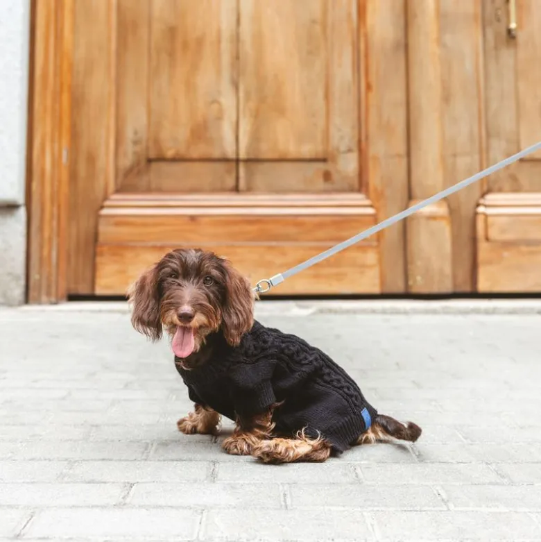 Nomad Tales Blush Hundetrøje Ebony